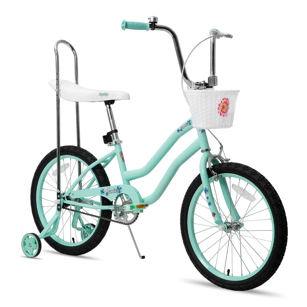 20 Inch Girls Bike with Training Wheels