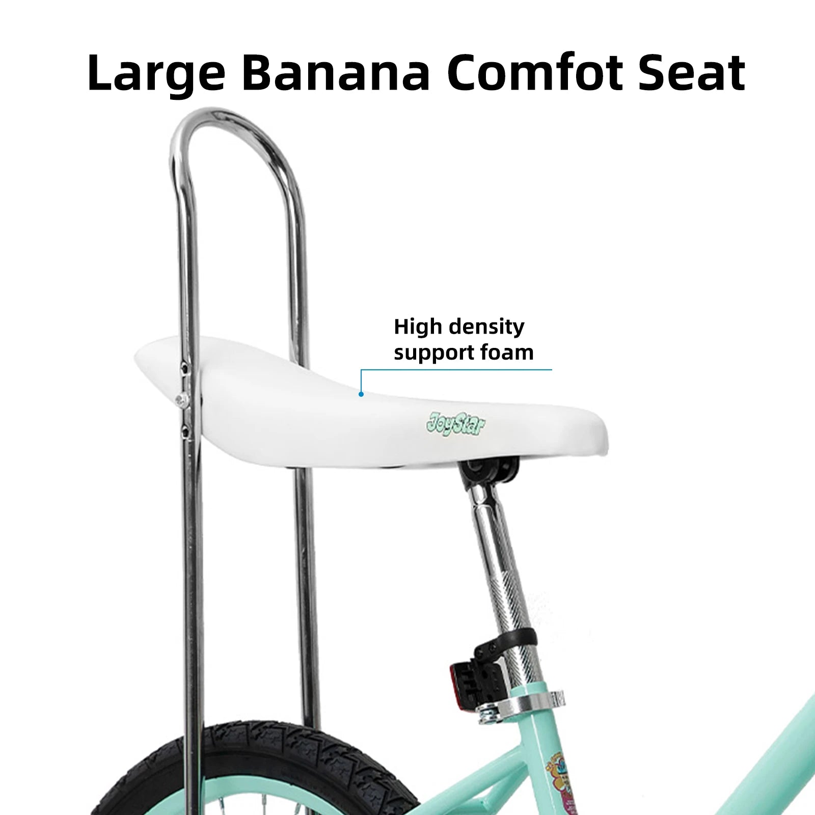 20 Inch Girls Bike with Training Wheels