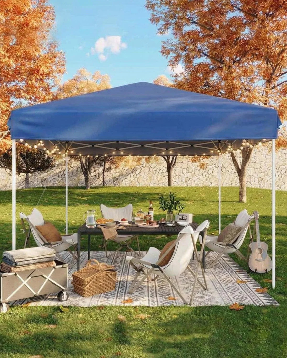 10x10ft Pop Up Canopy Tent