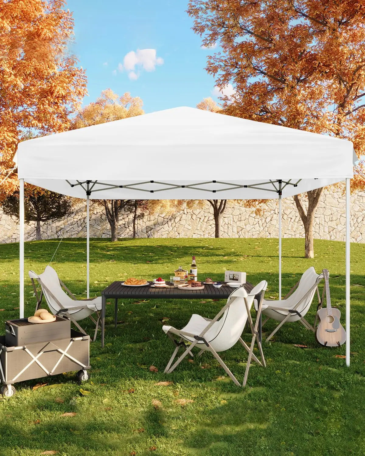 10x10ft Pop Up Canopy Tent