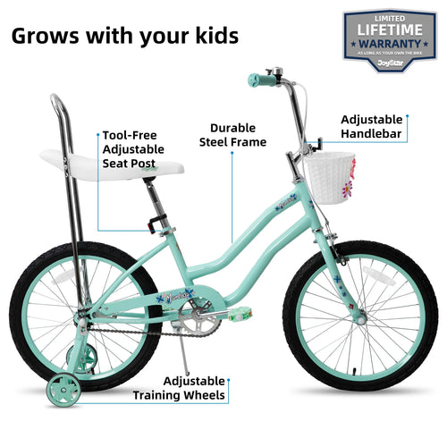 20 Inch Girls Bike with Training Wheels